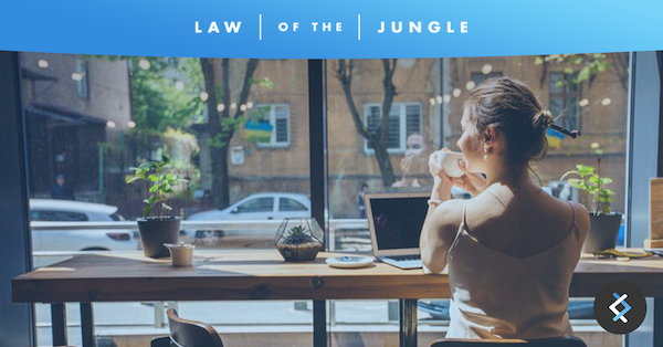 woman at a cafe looking out the window holding a coffee bug with laptop on desk, blue banner above with white law of the jungle logo text. dnx logo in bottom right corner